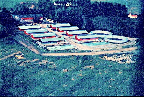 Billedbase/PerKæmpe/image0-74.jpg (size = )
